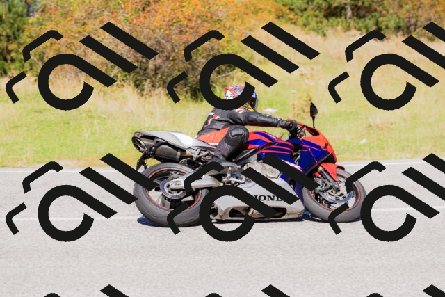 202509201203-_04A1139_c3