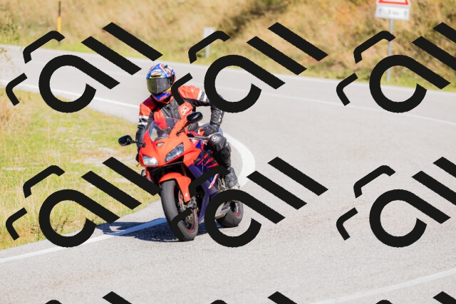 202509201204-_04A1146_c3