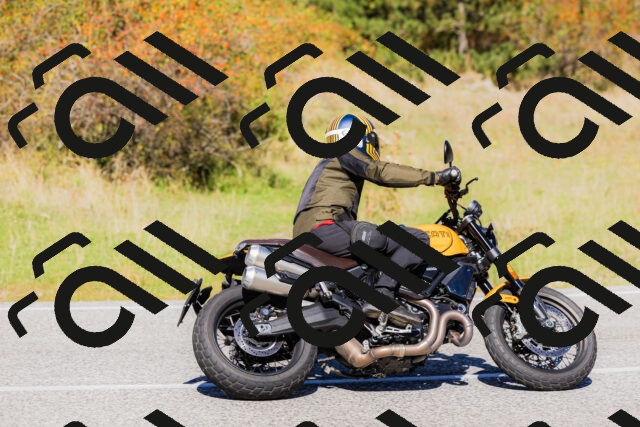 202509201205-_04A1163_c3