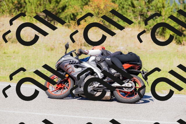 202509201205-_04A1166_c3