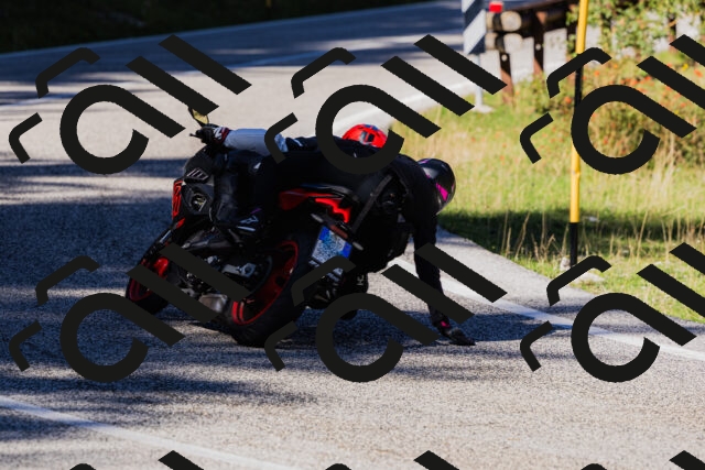 202509201205-_04A1167_c3