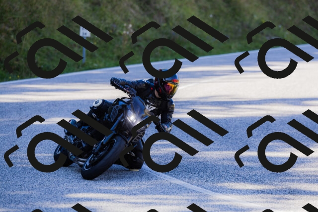 202509201205-_04A1172_c3