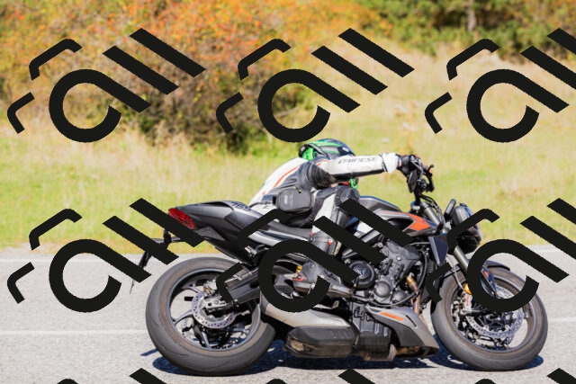 202509201206-_04A1175_c3