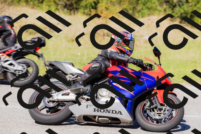 202509201208-_04A1208_c3