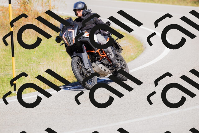 202509201209-_04A1218_c3