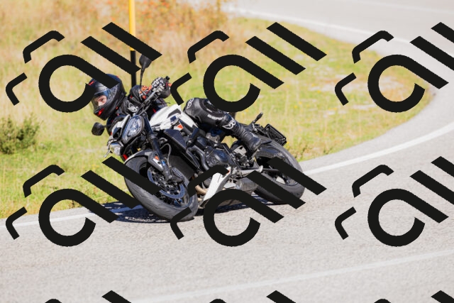 202509201209-_04A1225_c3