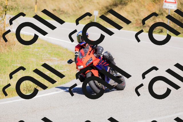 202509201209-_04A1228_c3