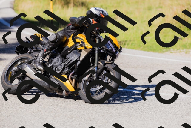 202509201210-_04A1230_c3