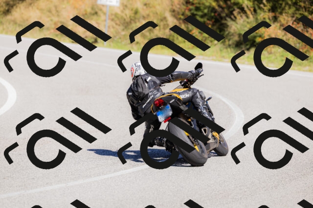 202509201210-_04A1232_c3