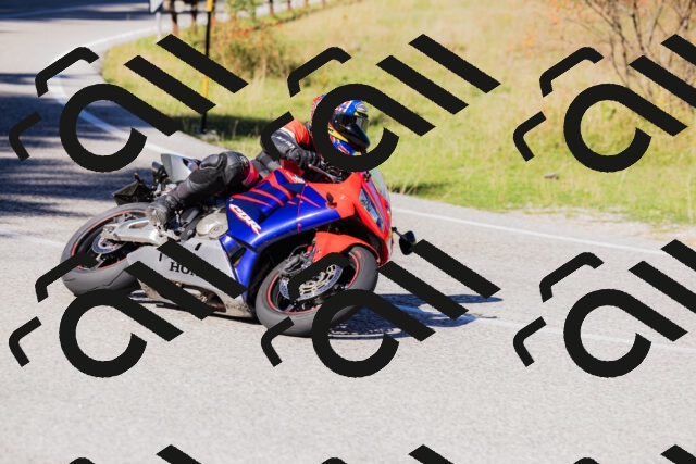 202509201214-_04A1272_c3