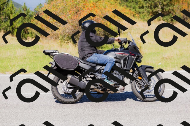 202509201219-_04A1312_c3