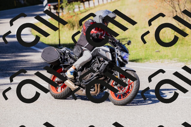 202509201220-_04A1313_c3