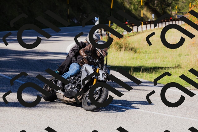 202509201226-_04A1347_c3