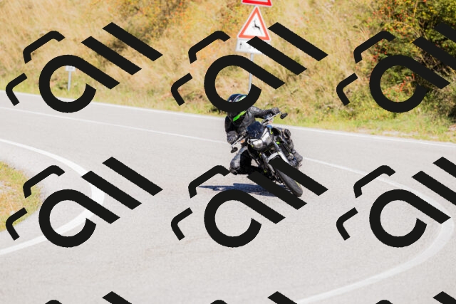 202509201231-_04A1385_c3