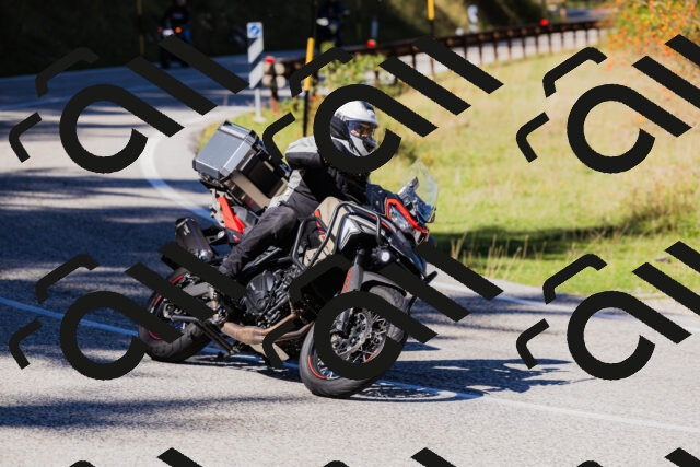 202509201235-_04A1420_c3