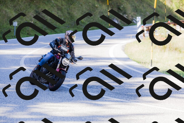 202509201235-_04A1422_c3