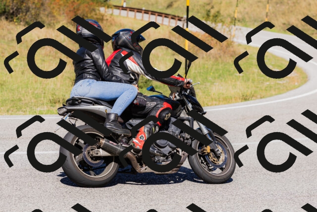 202509201245-_04A1525_c3