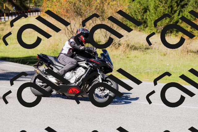 202509201246-_04A1535_c3