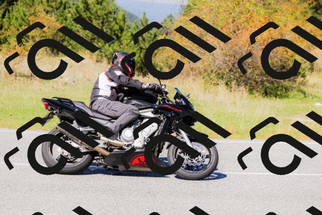 202509201246-_04A1536_c3