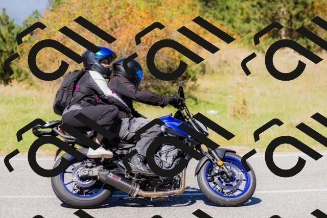 202509201247-_04A1547_c3