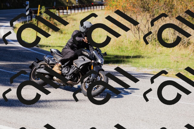 202509201250-_04A1576_c3