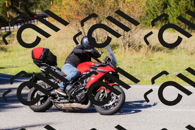 202509201253-_04A1599_c3