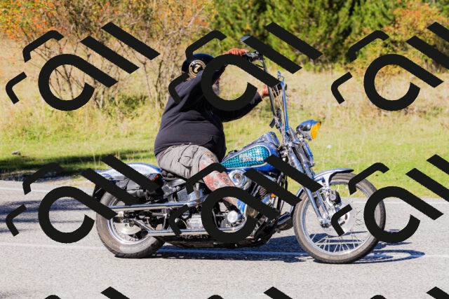 202509201257-_04A1612_c3