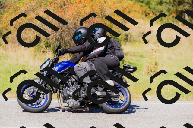 202509201258-_04A1618_c3