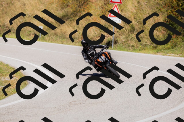 202509201302-_04A1647_c3