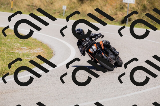 202509201302-_04A1648_c3