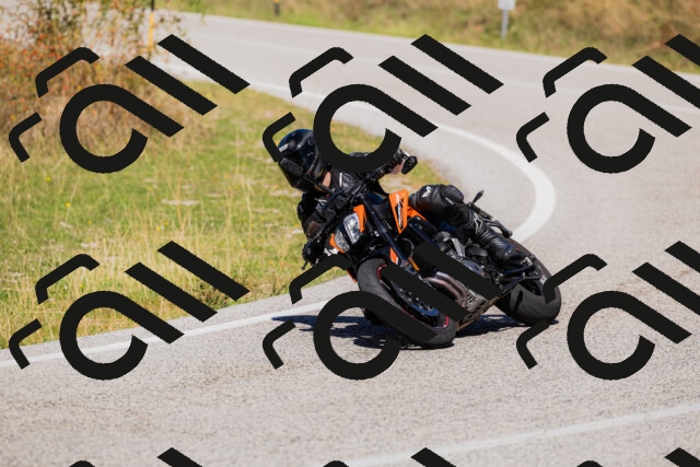 202509201302-_04A1649_c3