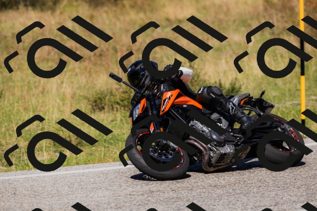 202509201302-_04A1650_c3