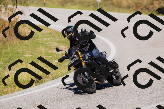 202509201302-_04A1655_c3