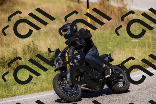 202509201302-_04A1656_c3