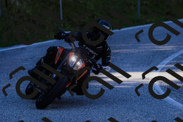 202509201303-_04A1667_c3