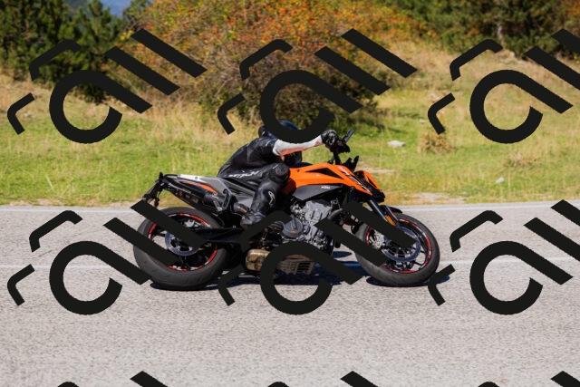 202509201303-_04A1668_c3