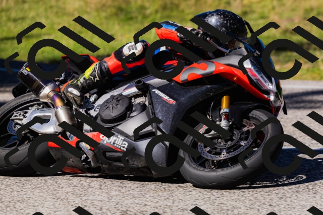 202509201305-_04A1696_c3