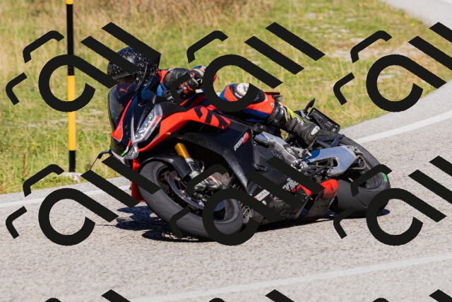 202509201306-_04A1704_c3