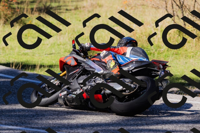 202509201306-_04A1706_c3