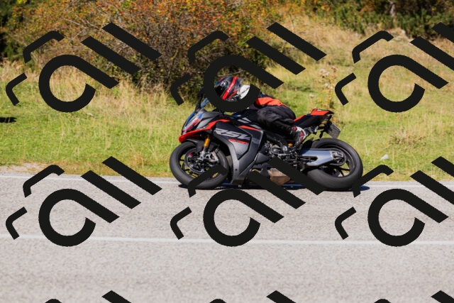 202509201310-_04A1777_c3