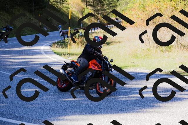 202509201320-_04A1841_c3