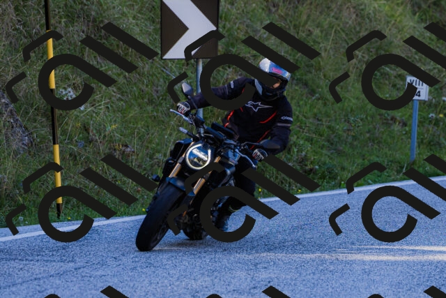 202509201322-_04A1845_c3