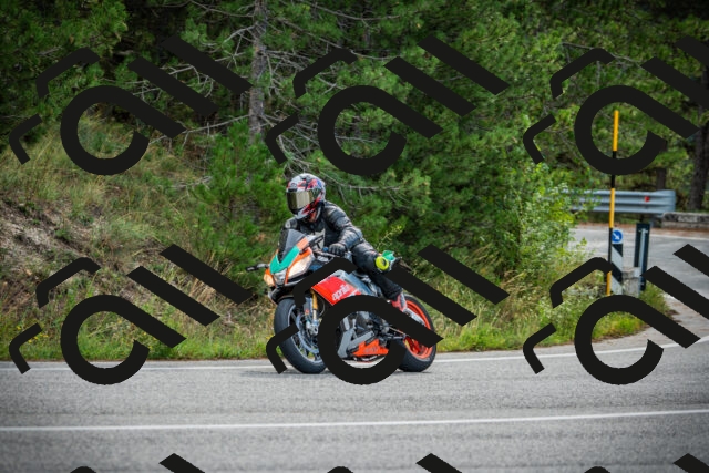 202509141007-DSC03953_c1_