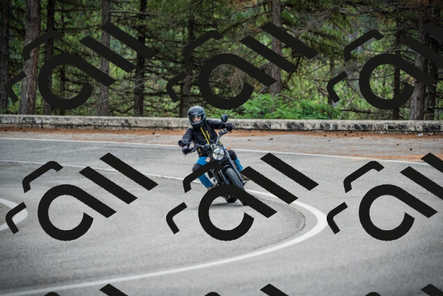 202509141008-DSC03958_c1_