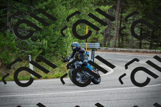 202509141008-DSC03960_c1_