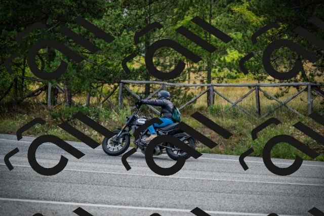 202509141008-DSC03962_c1_