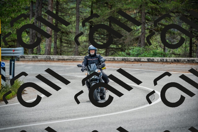 202509141010-DSC03971_c1_