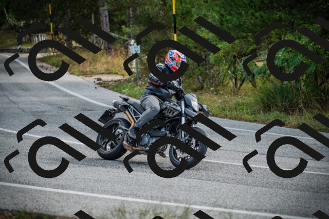 202509141011-DSC03981_c1_