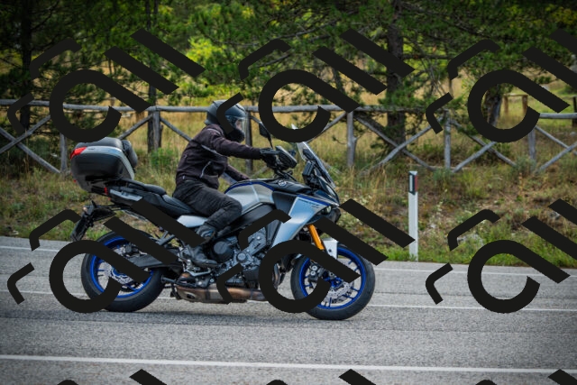 202509141011-DSC03987_c1_