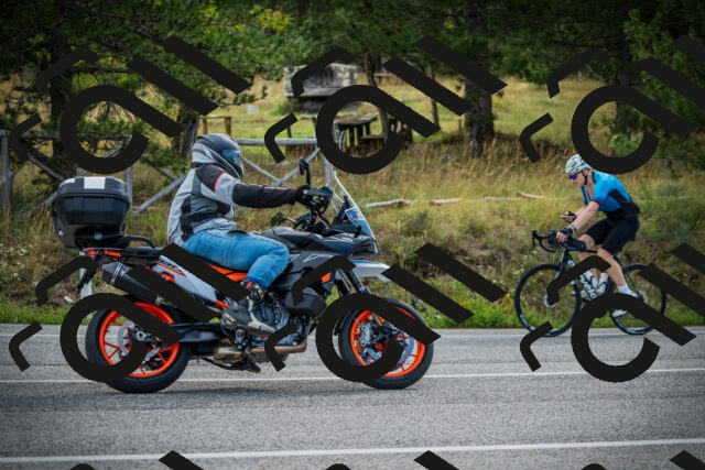 202509141011-DSC03989_c1_